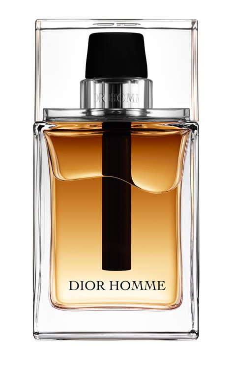 basenotes dior homme parfum|parfum dior homme original.